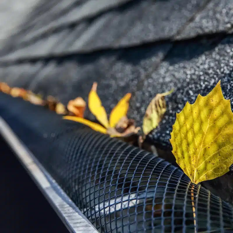 Leaves in gutter with mesh cover. leaf guards in reno