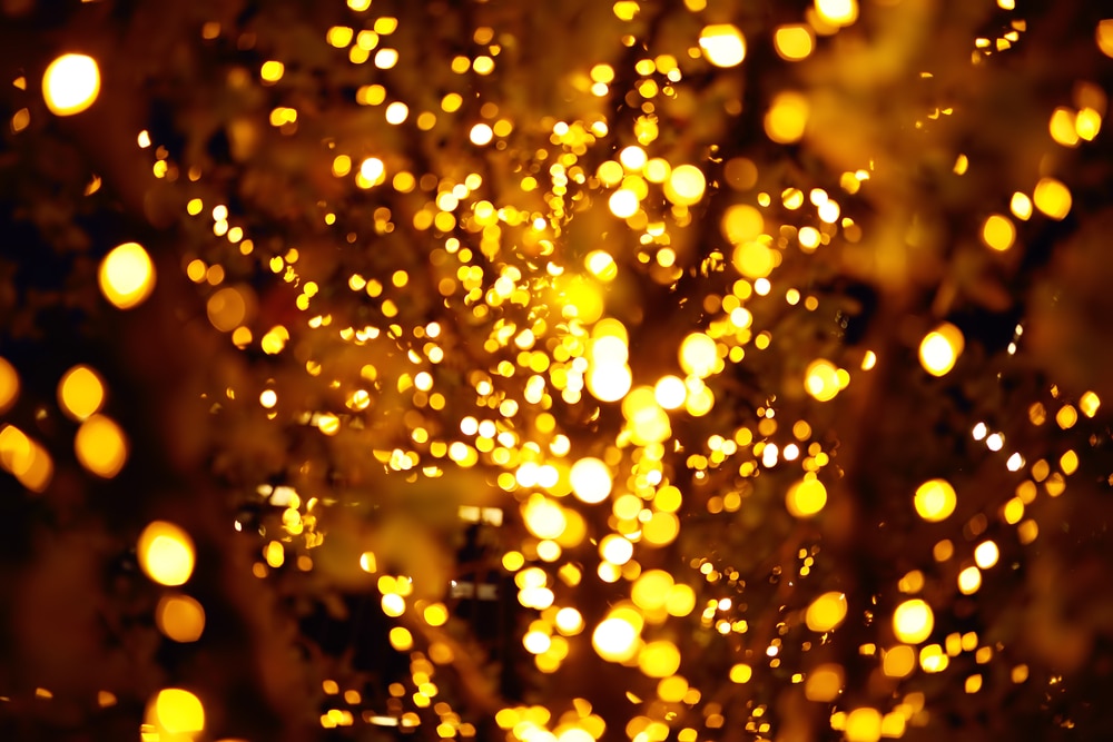 Exciting News from Battleborn Gutters in Reno, NV: Professional Christmas Light Installation